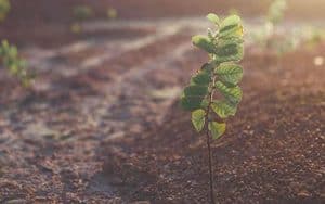 Investment Planning Advice in Liverpool, UK